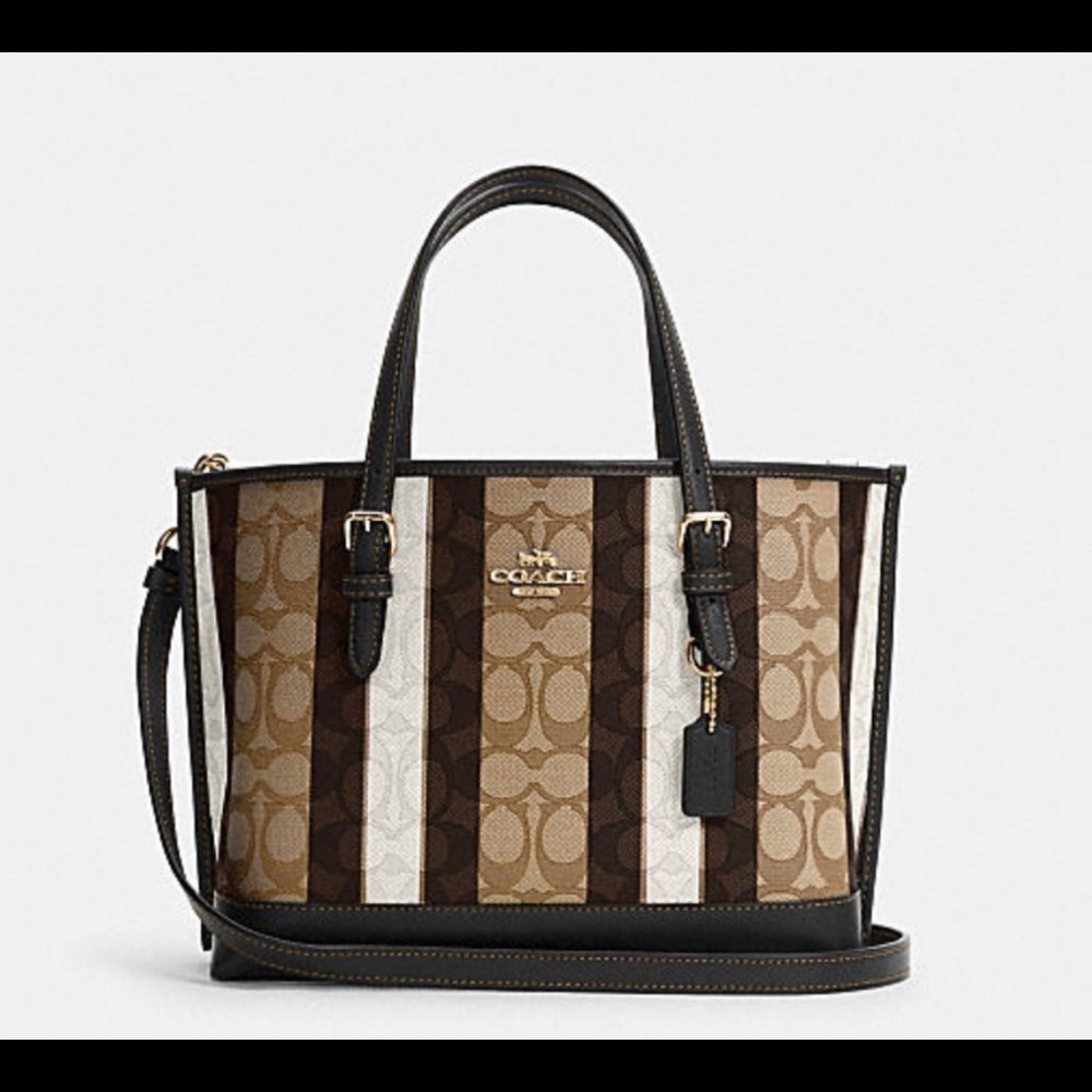 Coach Mollie Tote